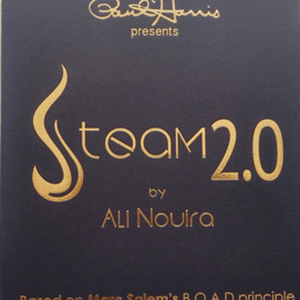 Paul Harris Presents Steam 2.0 - Mind Reading - Mentalism - Card Magic - NEW