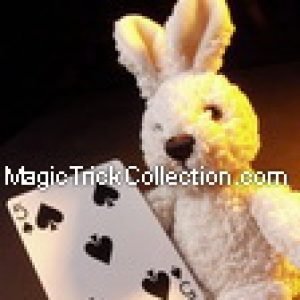 MagicTrickCollection.com Rare & Vintage Magic Tricks