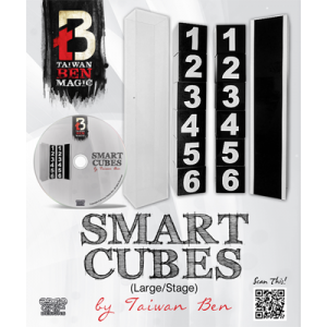 Smart Cubes (Large / Stage) by Taiwan Ben