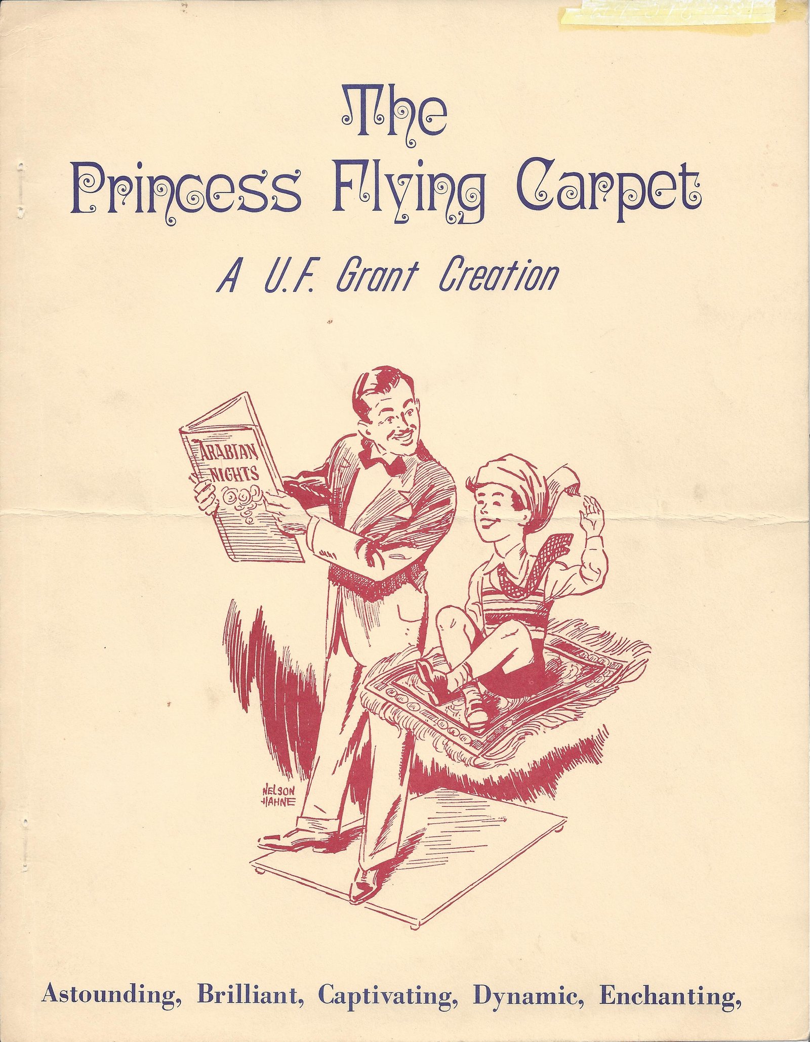 Princess Flying Carpet Manuscript UF Grant